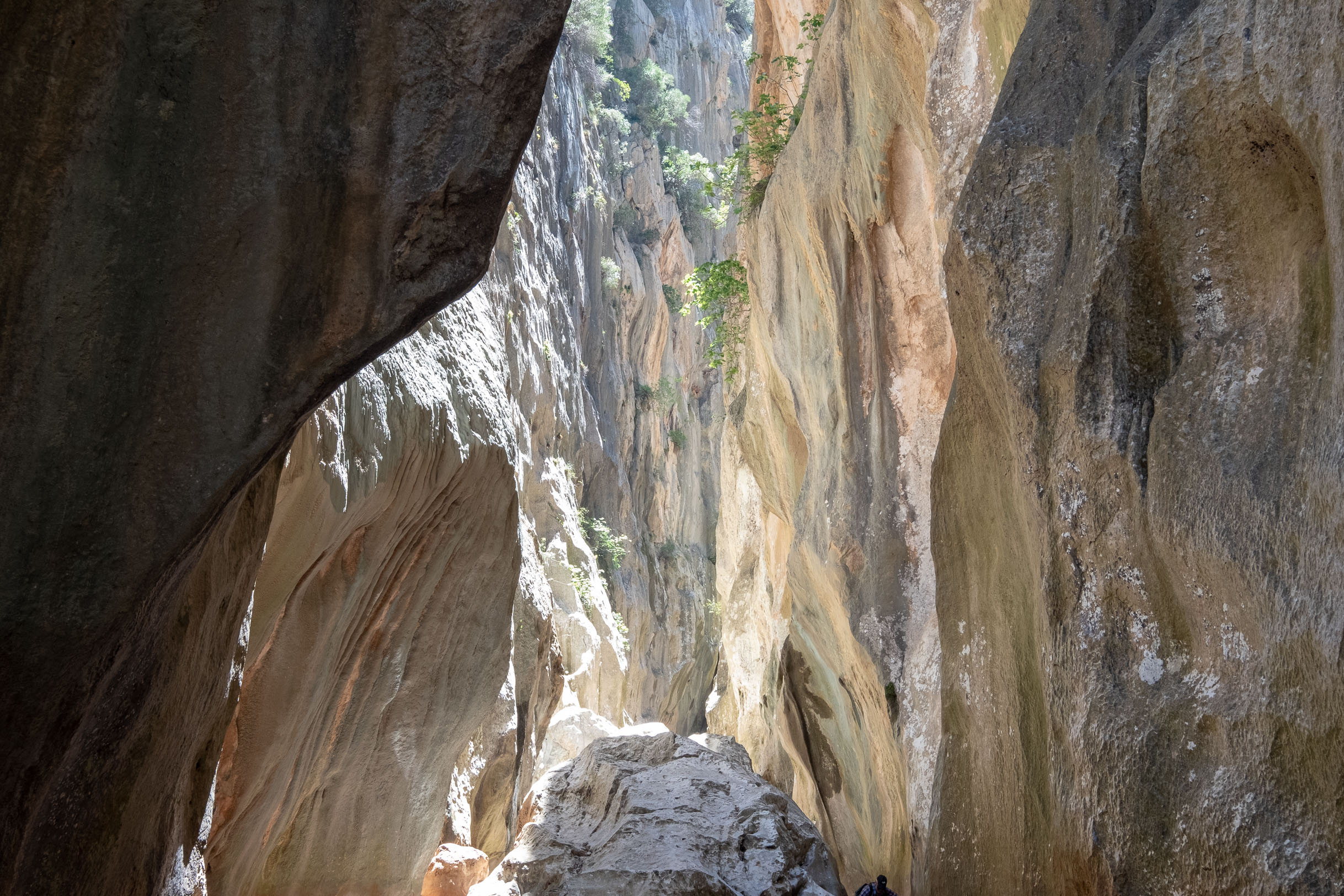 Torrent de Pareis