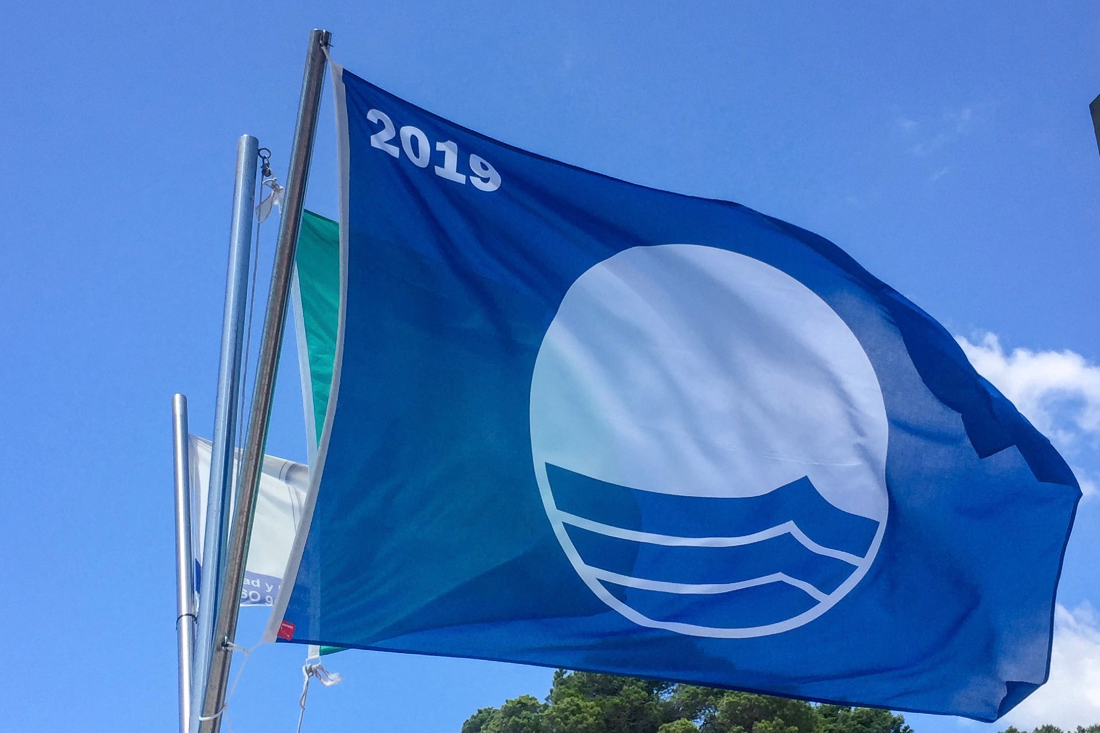 Что означает бело синий флаг на корабле. Blue Flag 2021. Левант голубой флаг. Голубой флаг Турция. Пляжи Кипра с голубым флагом.