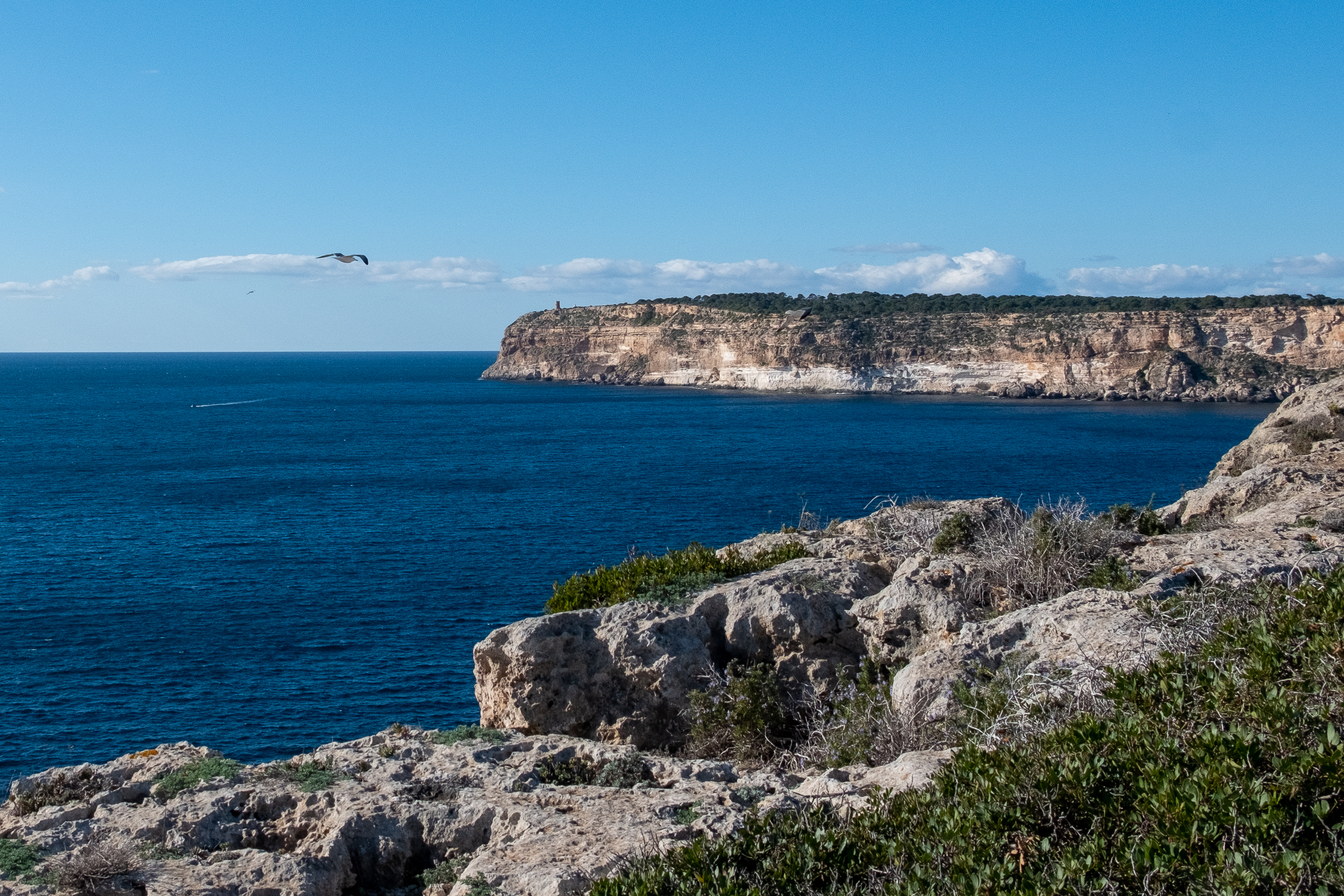 Cala Pi to Cap Blanc