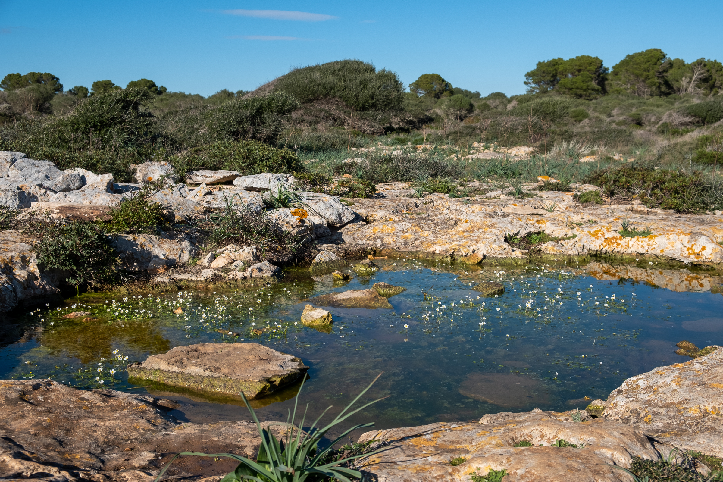 Cala Pi to Cap Blanc