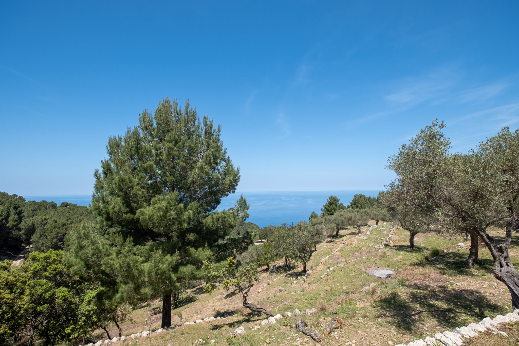 Summer Hike: Esporles to Estellencs - Estilo Palma