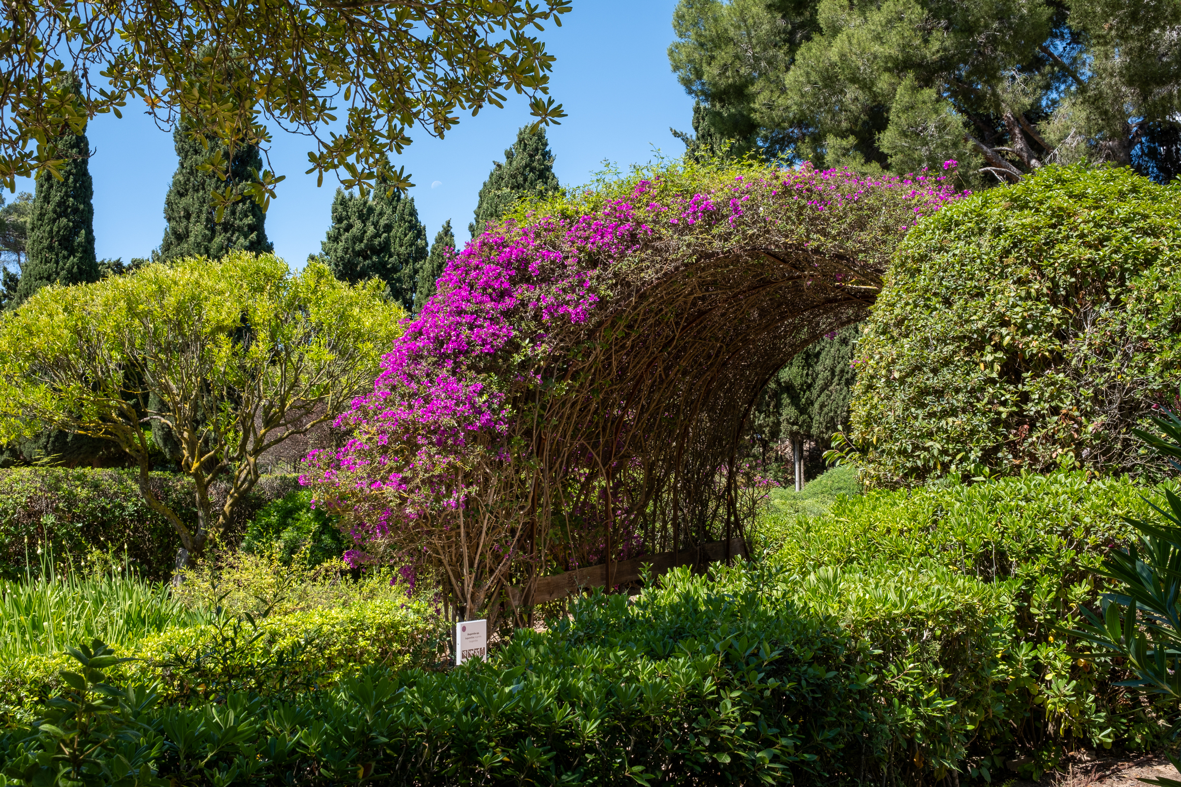 Marivent Palace Gardens
