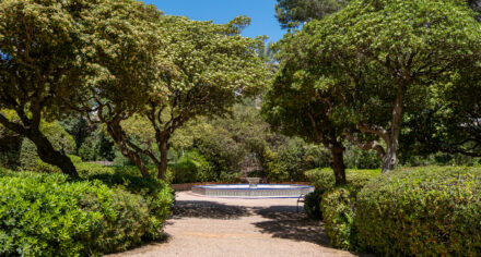 Marivent Palace Gardens