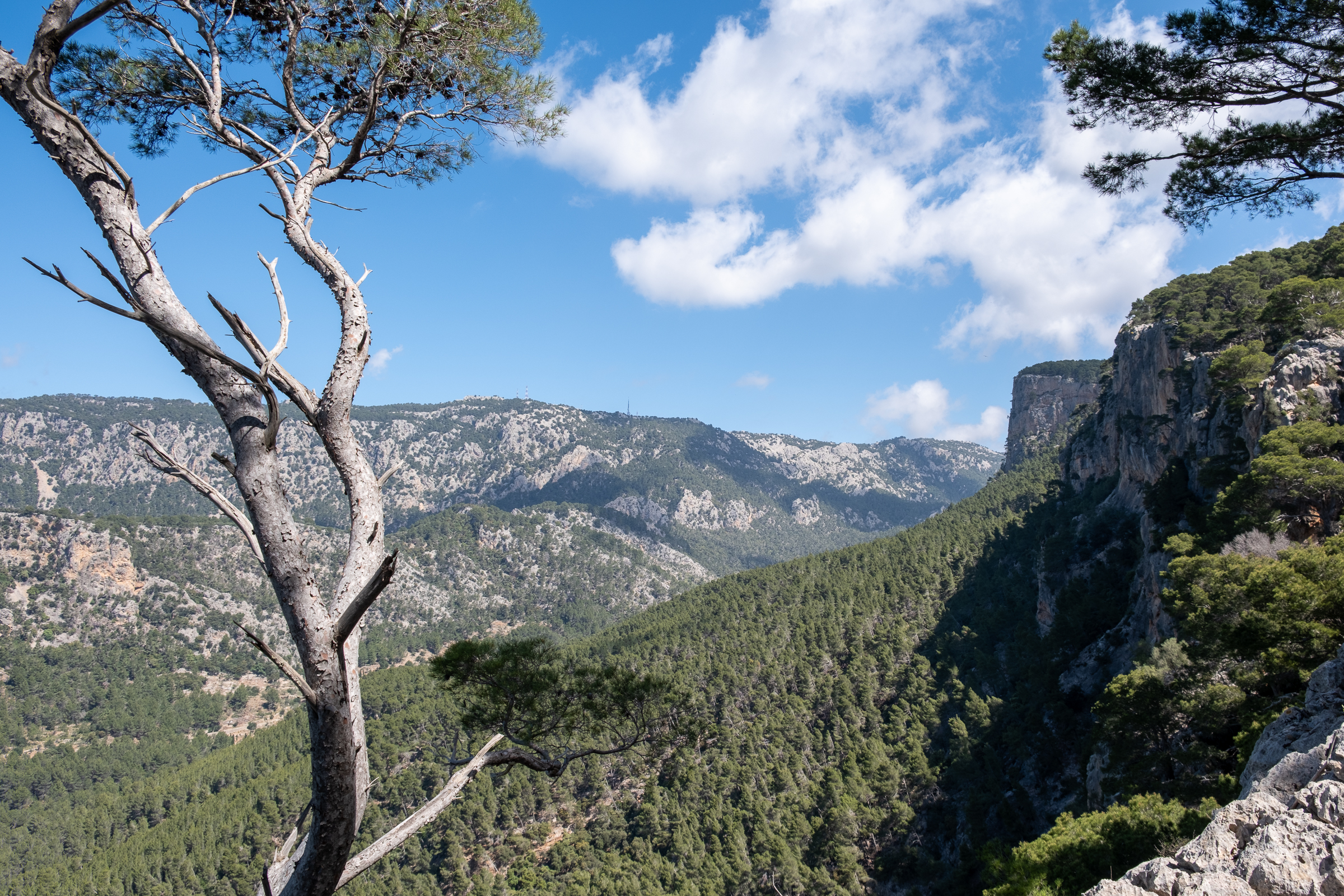 Tramuntana Mountains Mallorca