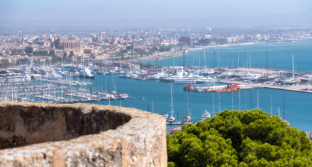 The Roof Terraces of Palma