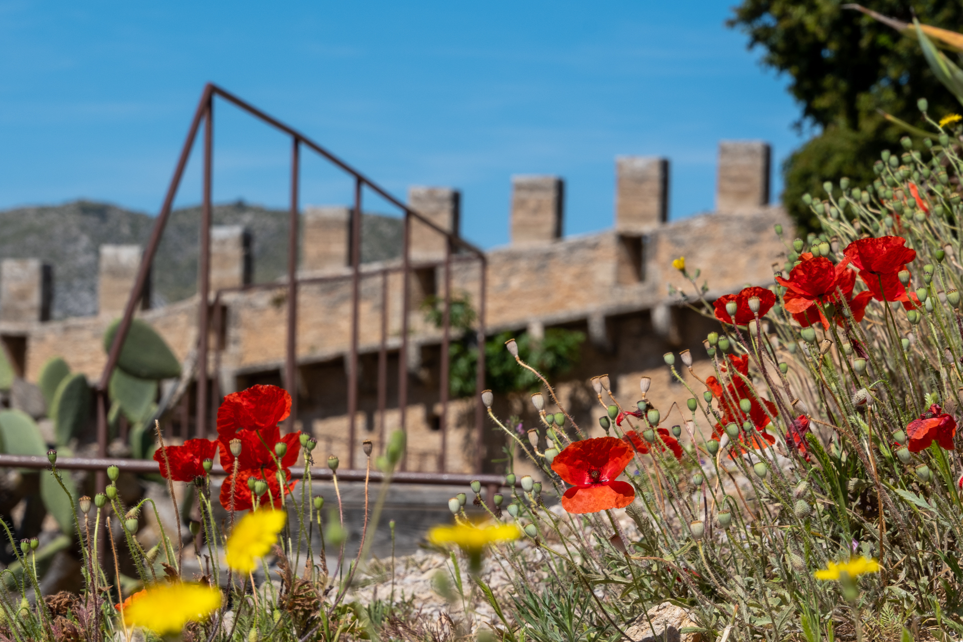 Castell de Capdepera