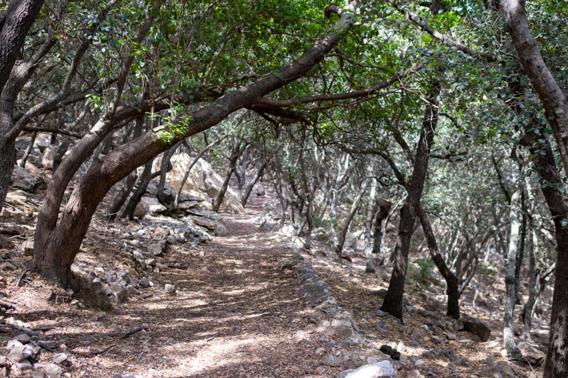 Camí Vell d'Estellencs