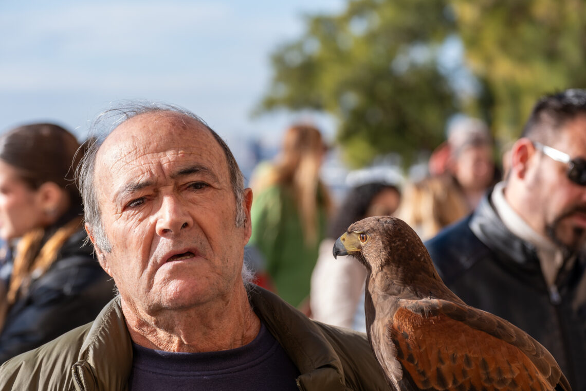 Beneïdes Sant Antoni 2025