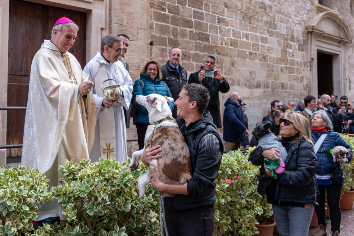 Sant Antoni