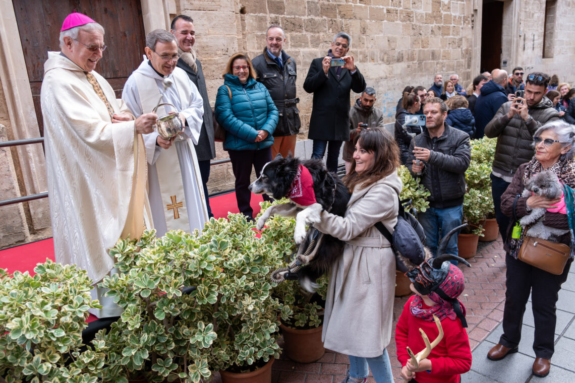 Sant Antoni