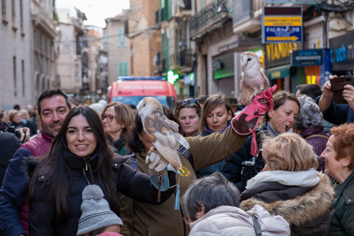 Sant Antoni