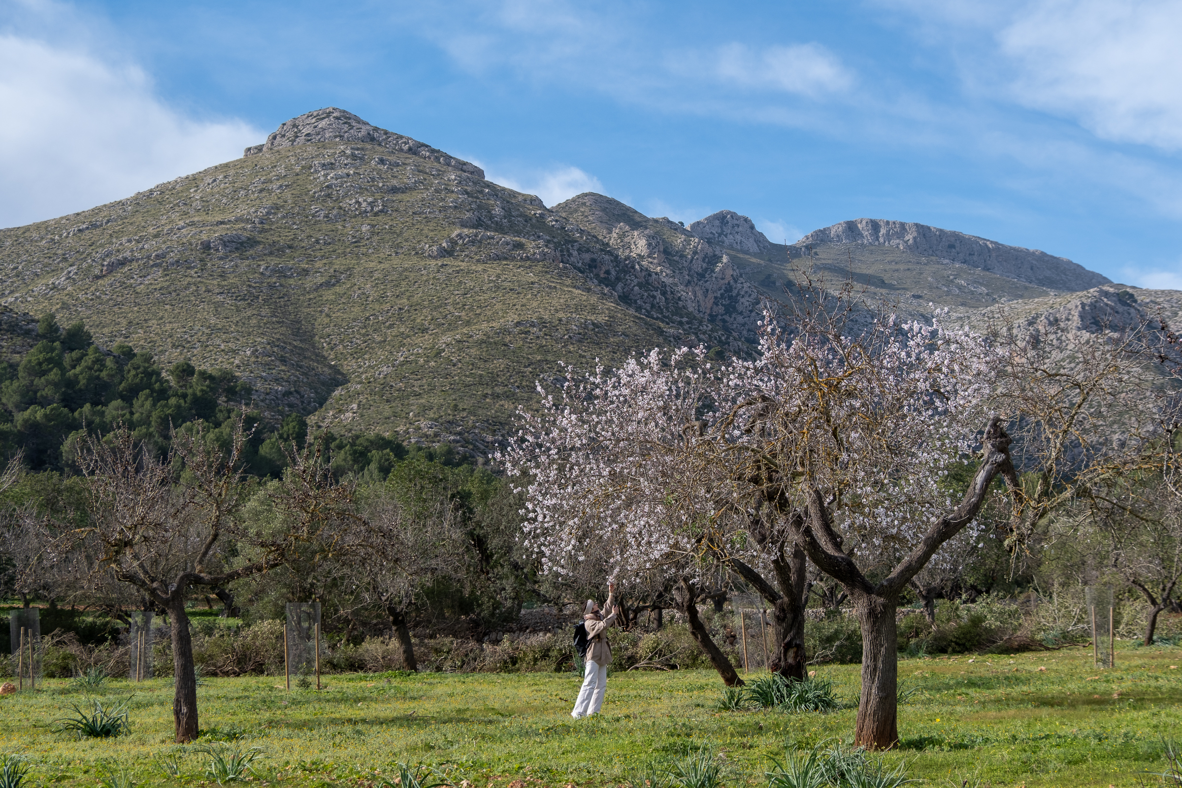 Finca Galatzó