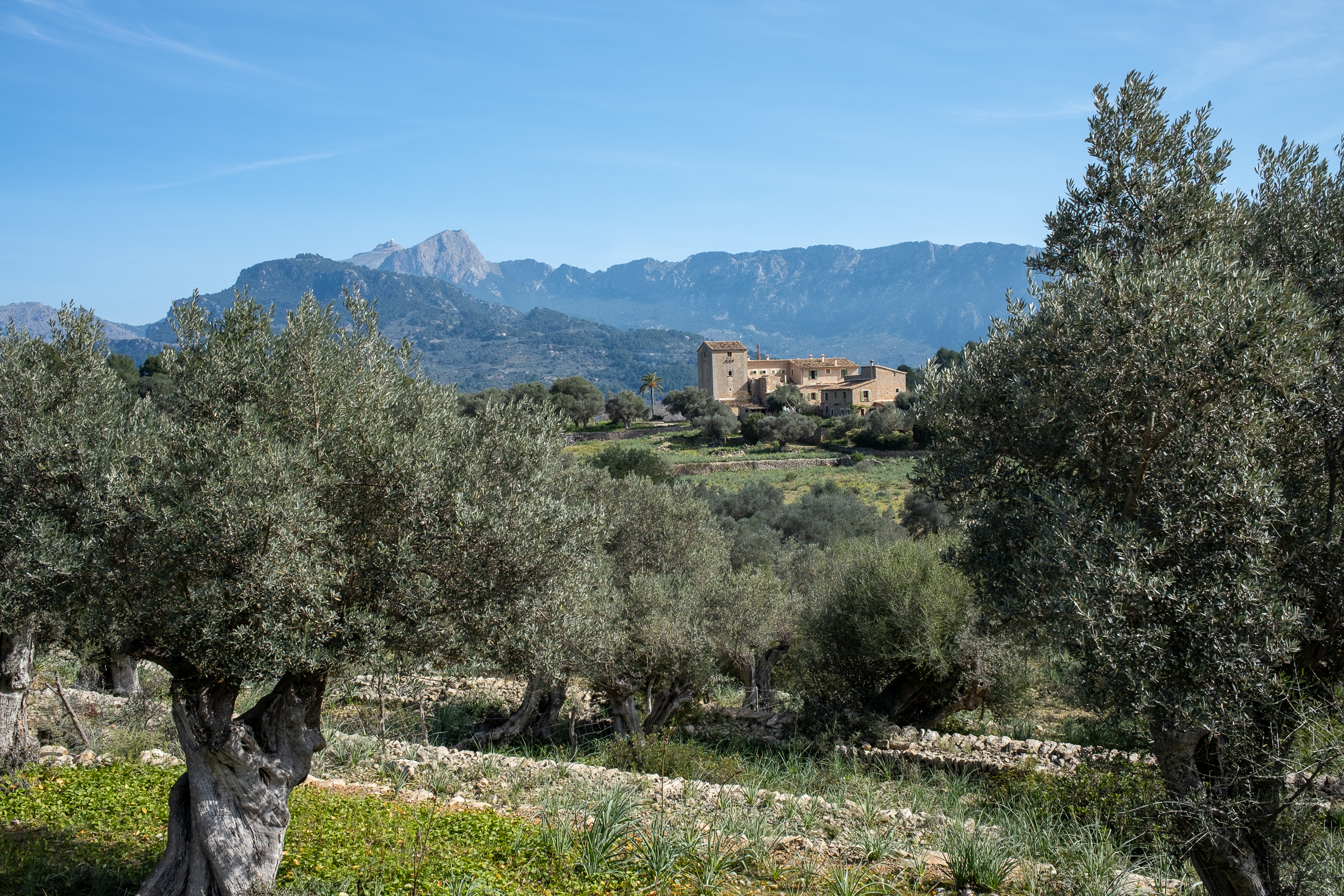 Sóller Garden Route