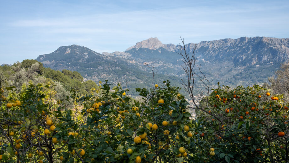 Sóller Garden Route