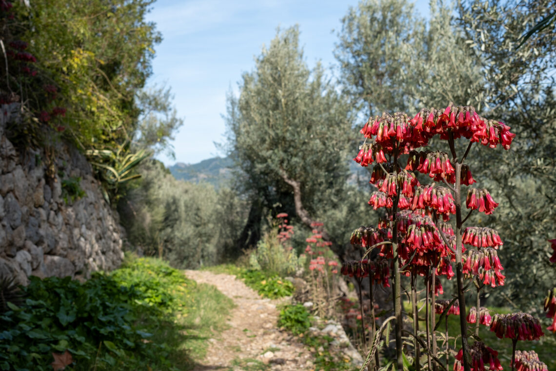 Sóller Garden Route